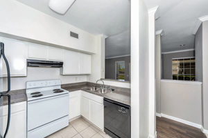 Enclave-at-Copperfield 27